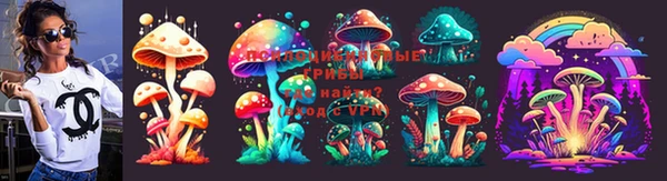 прущие крисы Кулебаки