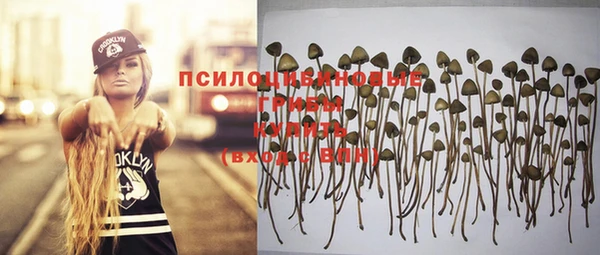 прущая мука Кукмор
